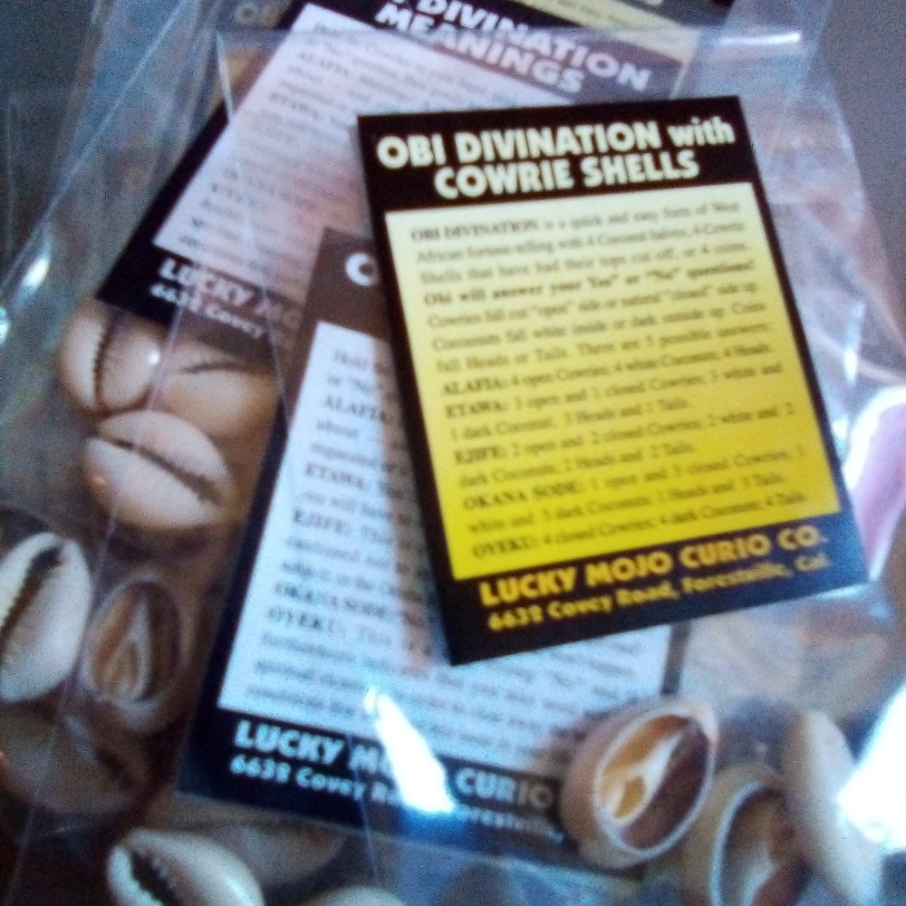 Obi divination shells - Picture 1 of 1